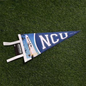 【校景之美】NCU中央校門三角旗