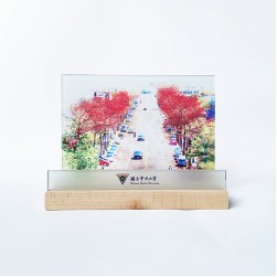 【團購商品，10個起做】中大校景平板座禮盒_中大路