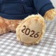 NCU帽T畢業小熊_2026限定_深藍